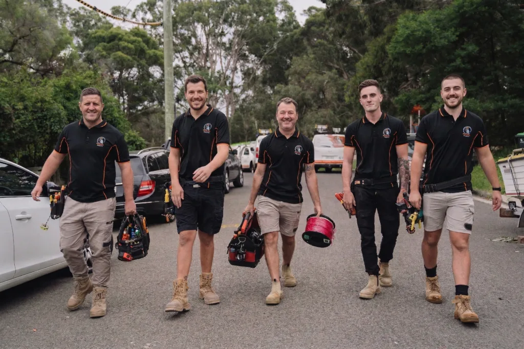 Professional electrical services in Wollstonecraft